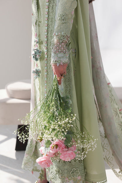 Celadon
