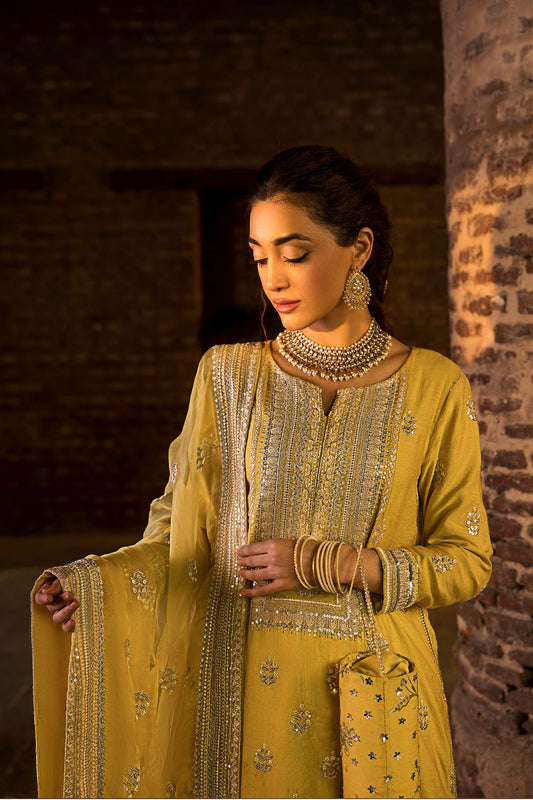 Erum Khan -  Noor