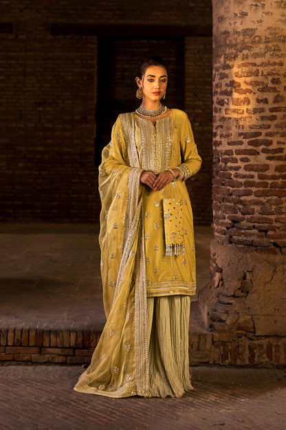 Erum Khan -  Noor