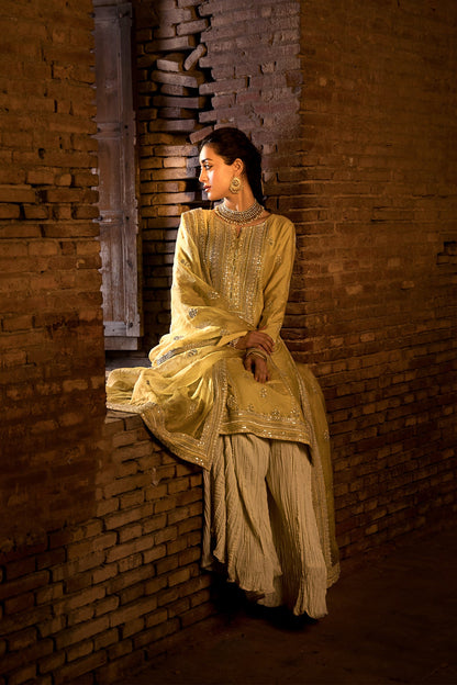 Erum Khan -  Noor