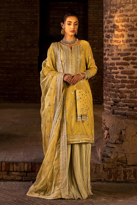 Erum Khan -  Noor